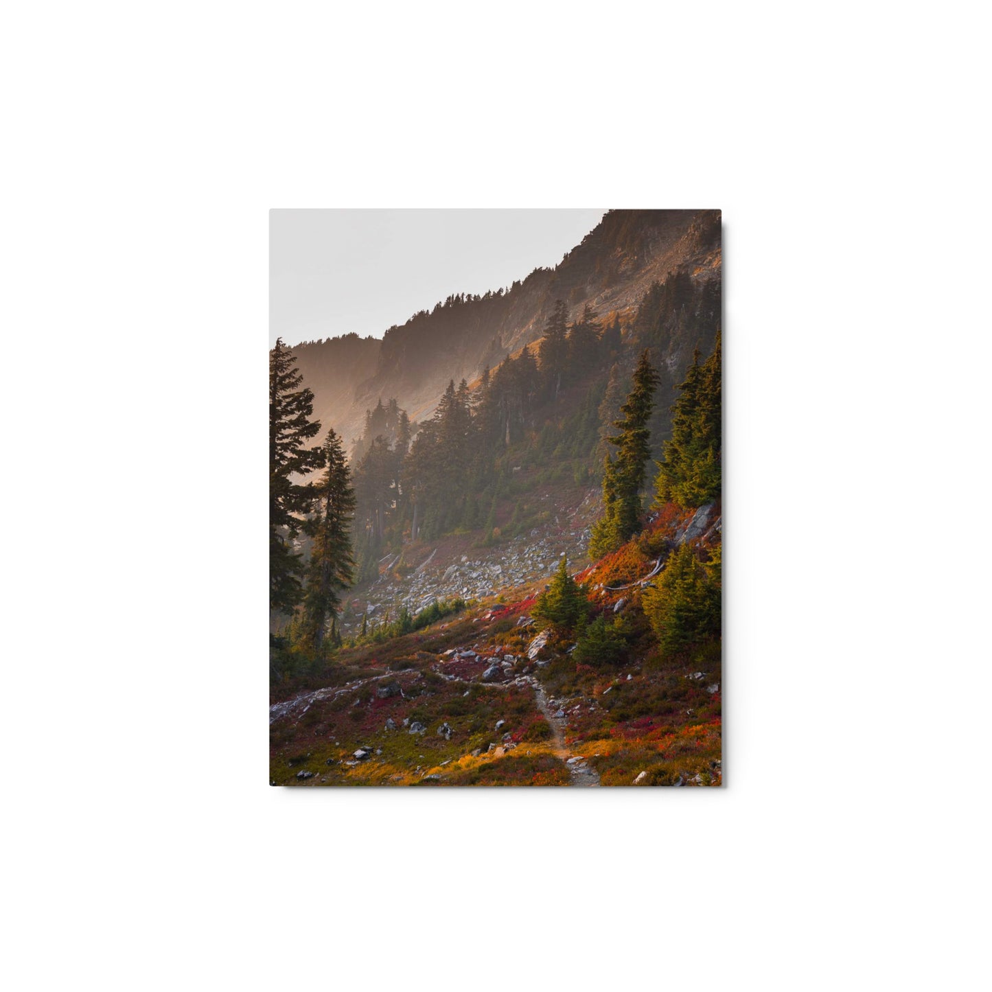 Artists Point Fall Metal Print