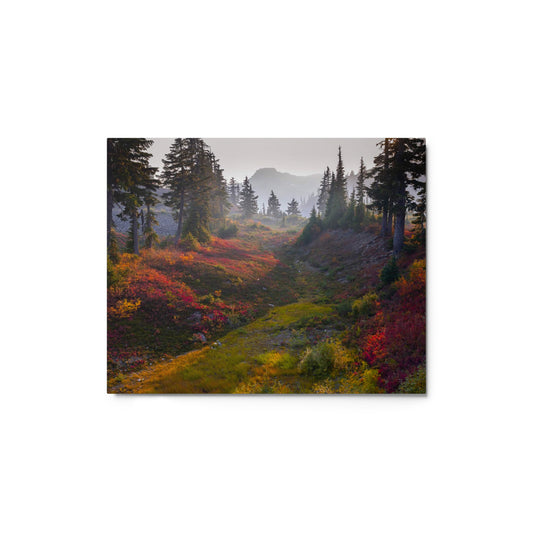 Mount Baker Fall Colors Metal Print