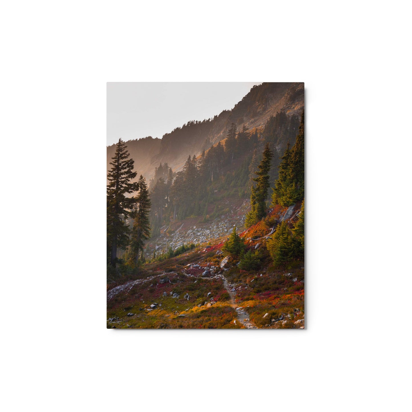 Artists Point Fall Metal Print